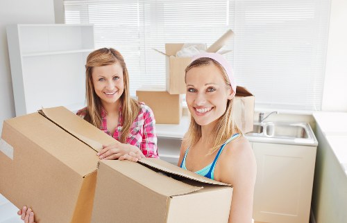 Man with van handling furniture and household items